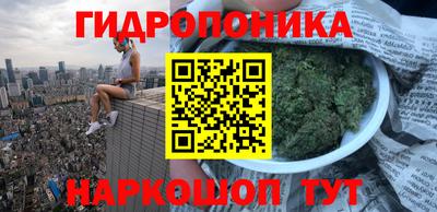 стаф Ставрополь