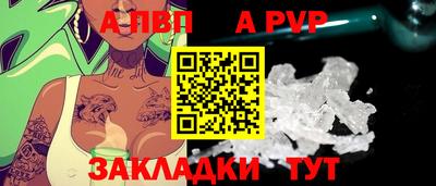 стаф Ставрополь